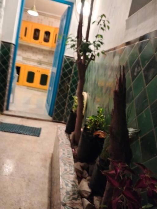Coup De Coeur A Sidi Bou Said Villa Exterior photo